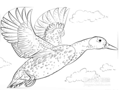 手工/爱好 > 书画/音乐  end