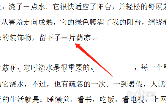 word里面怎么加横线