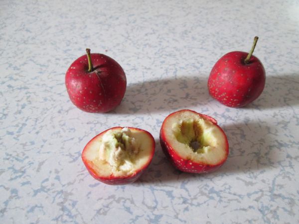 #柏翠辅食节-健康食疗#苹果银耳红果汤