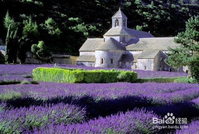 普罗旺斯紫色浪漫之行国际机票攻略