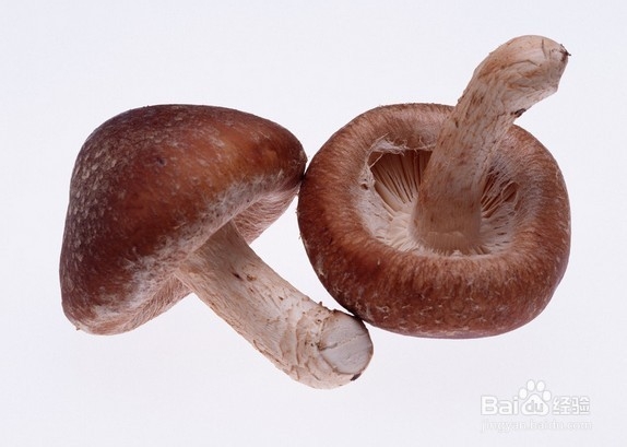 4种高纤维有机蔬菜可快速消掉脂肪