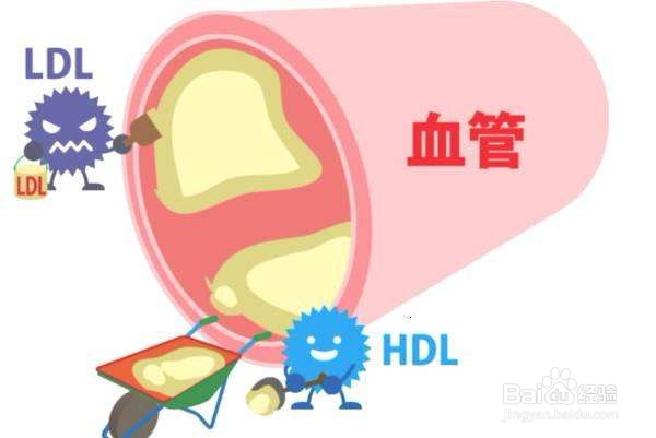 吃厚皮菜对身体有哪些好处