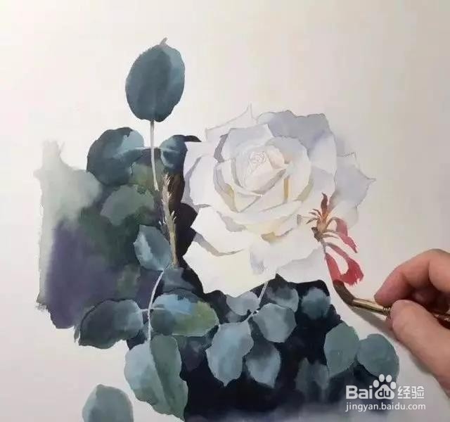 水彩玫瑰花的画法