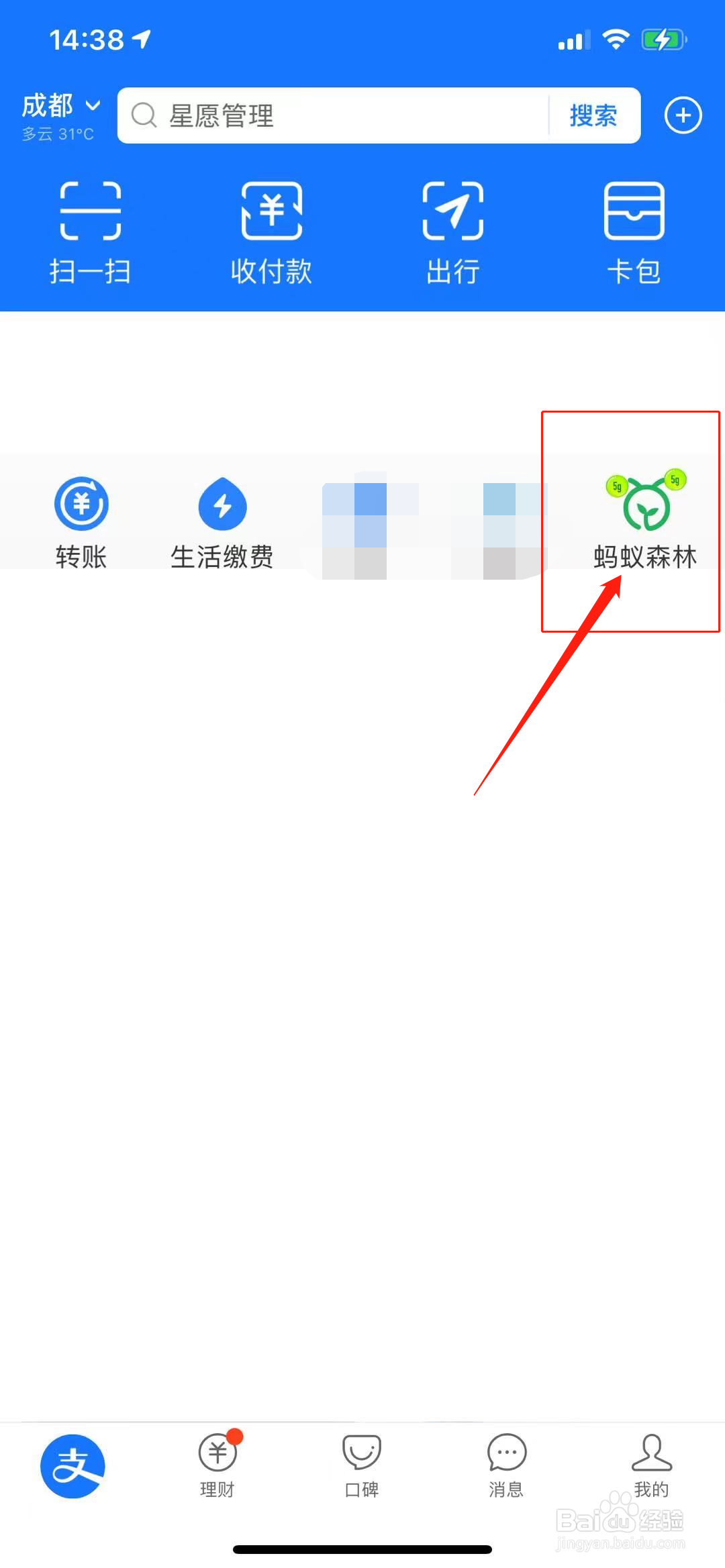 蚂蚁森林停驶活动怎么没有了