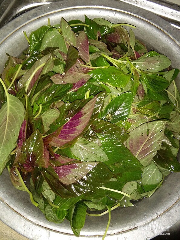 凉拌小米菜的制作方法