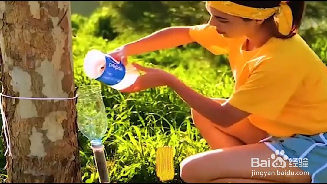 如何在户外自制净水器