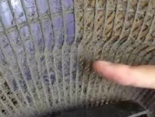 电风扇摇头吱吱响怎么办