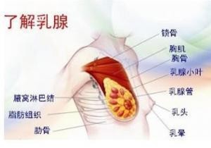 女性如何保健乳房远离乳腺癌?