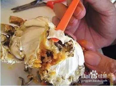 秋天到了,如何正确地吃大闸蟹?