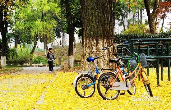 如何度过在大学的四年让它更有意义