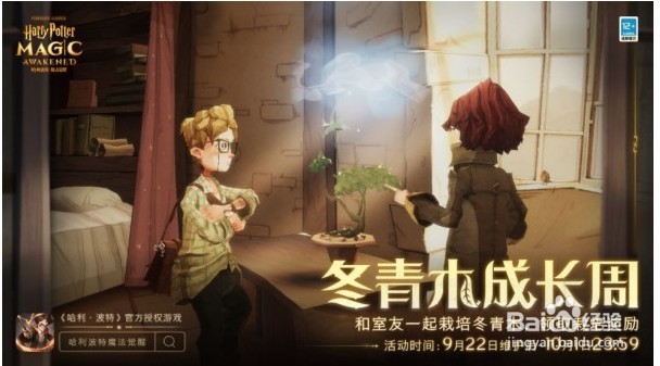 哈利波特魔法觉醒冬青木成长周活动怎么玩
