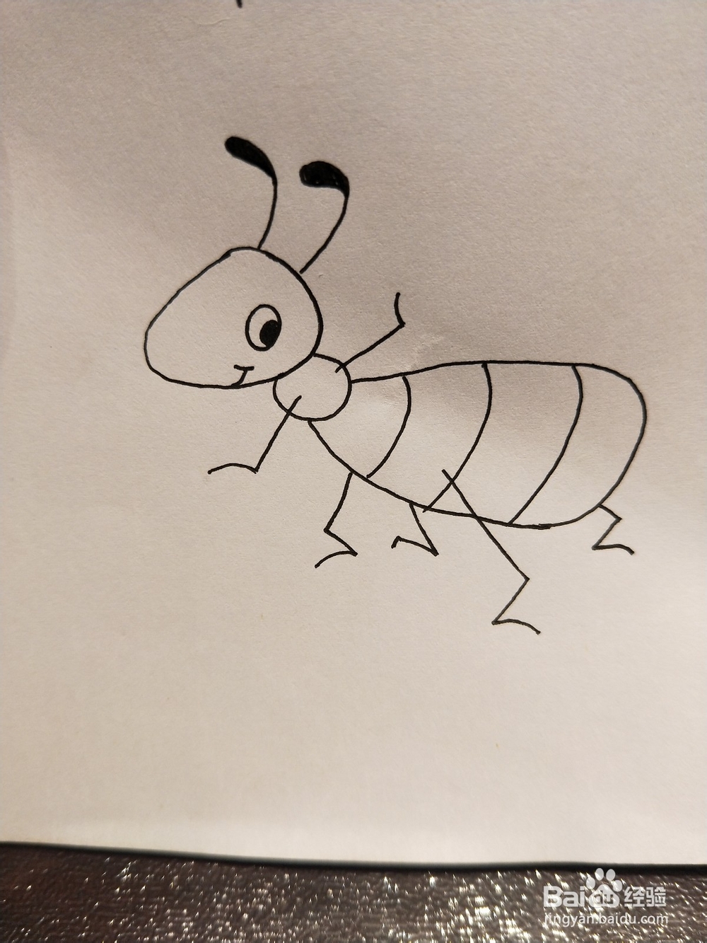 怎样画简笔画——小蚂蚁