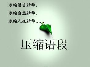 压缩语段的方法技巧