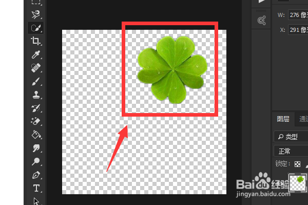 photoshop 怎么用快速选择工具抠图