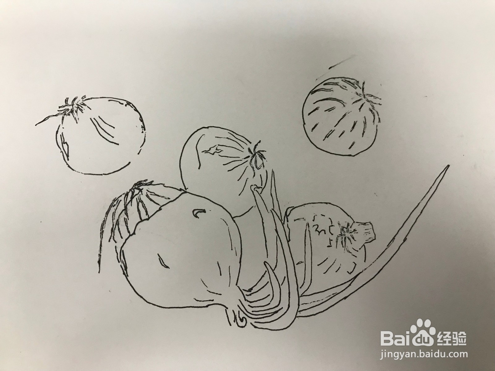 画几个发芽的洋葱