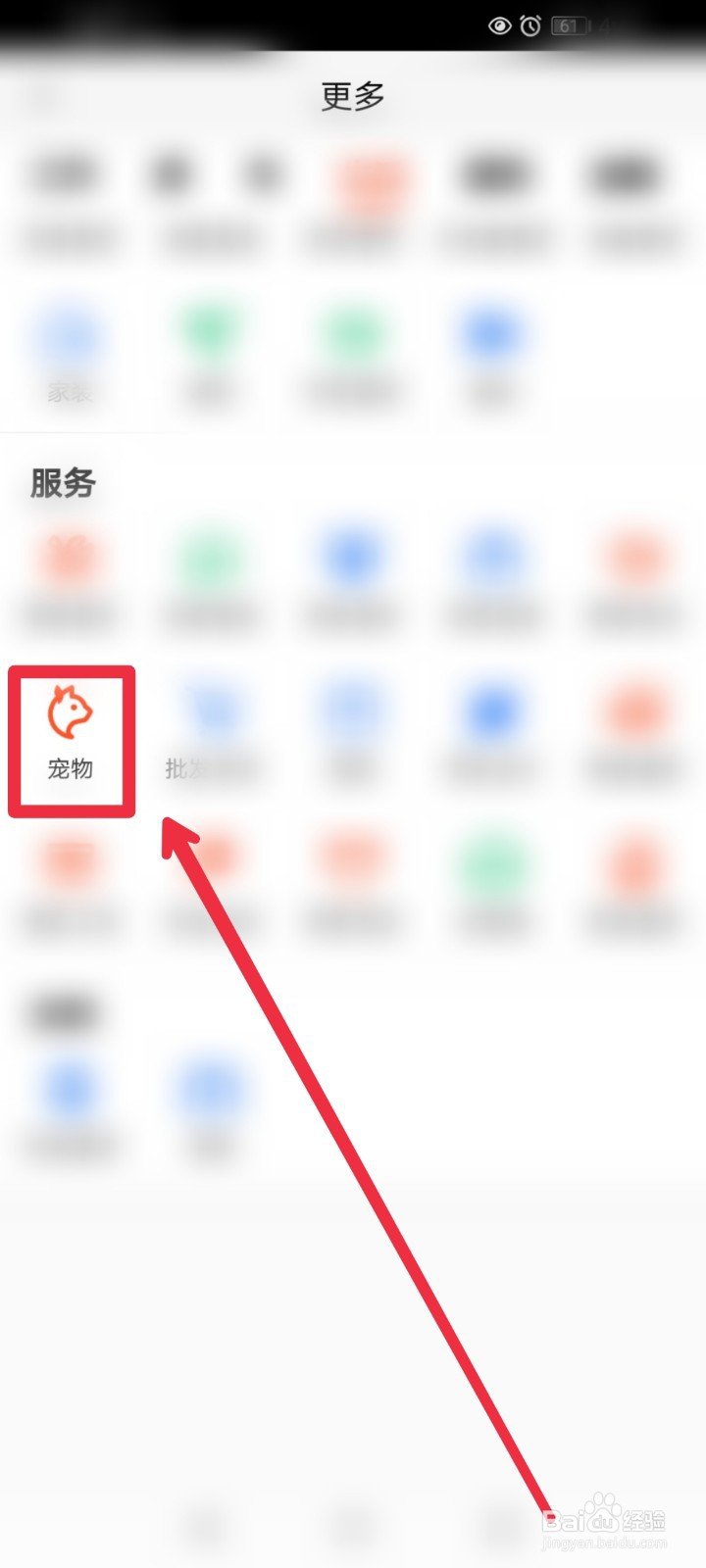 怎么在58同城快速找到自营宠物