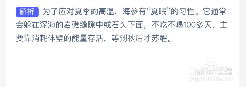 海参在夏季休眠时通常会