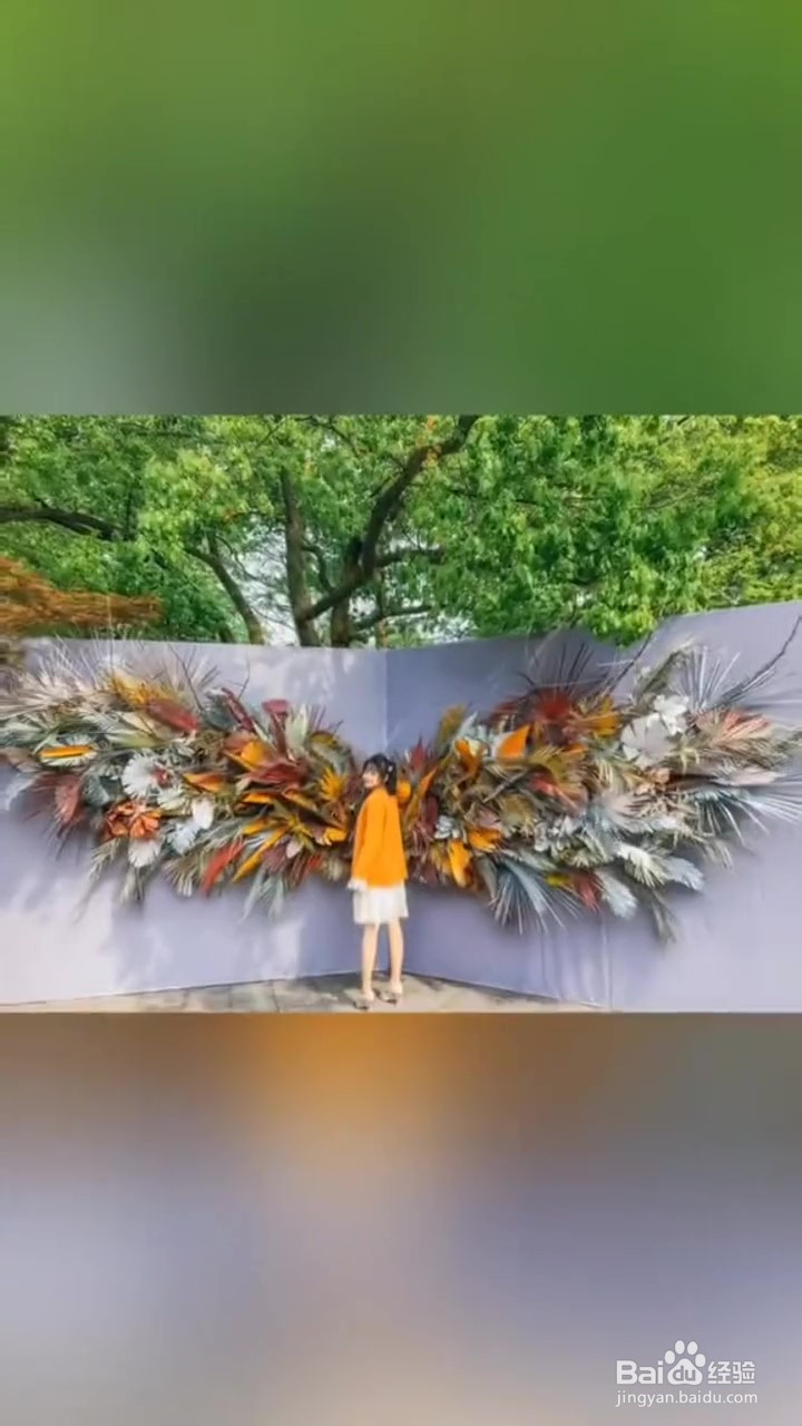 如何用手机在小仙女打卡地拍照