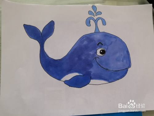 鲸鱼简笔画图片 百度经验