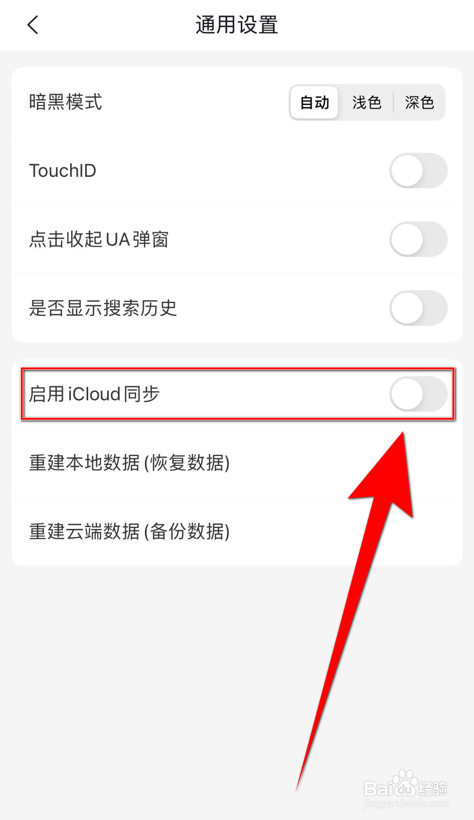 如何设置Focus浏览器启用iCloud同步开启