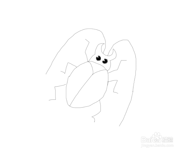 昆虫简笔画怎么画