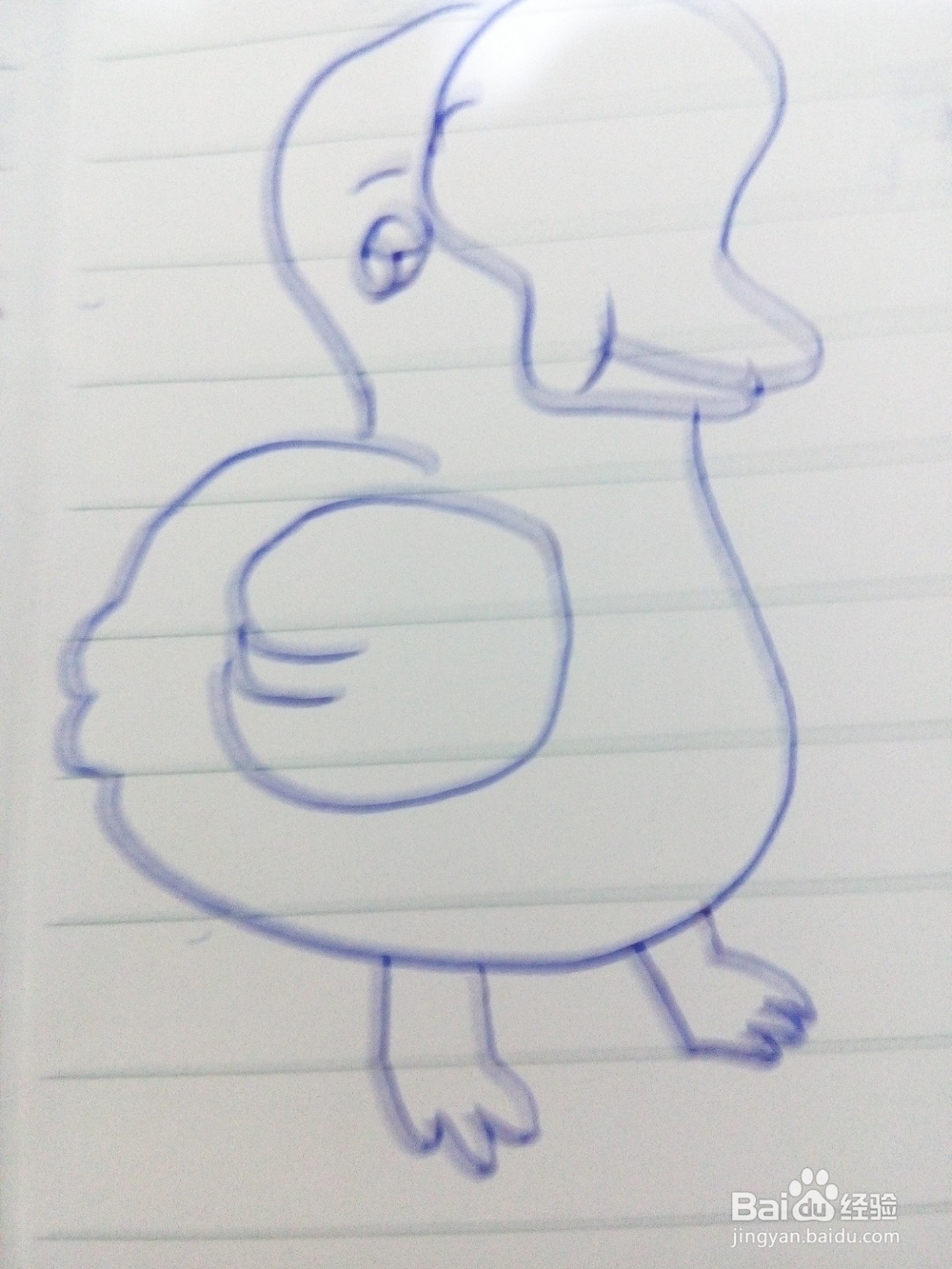 教你学画画：[14]简笔画小鹅