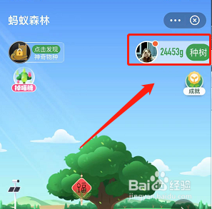 蚂蚁森林怎么申请种树