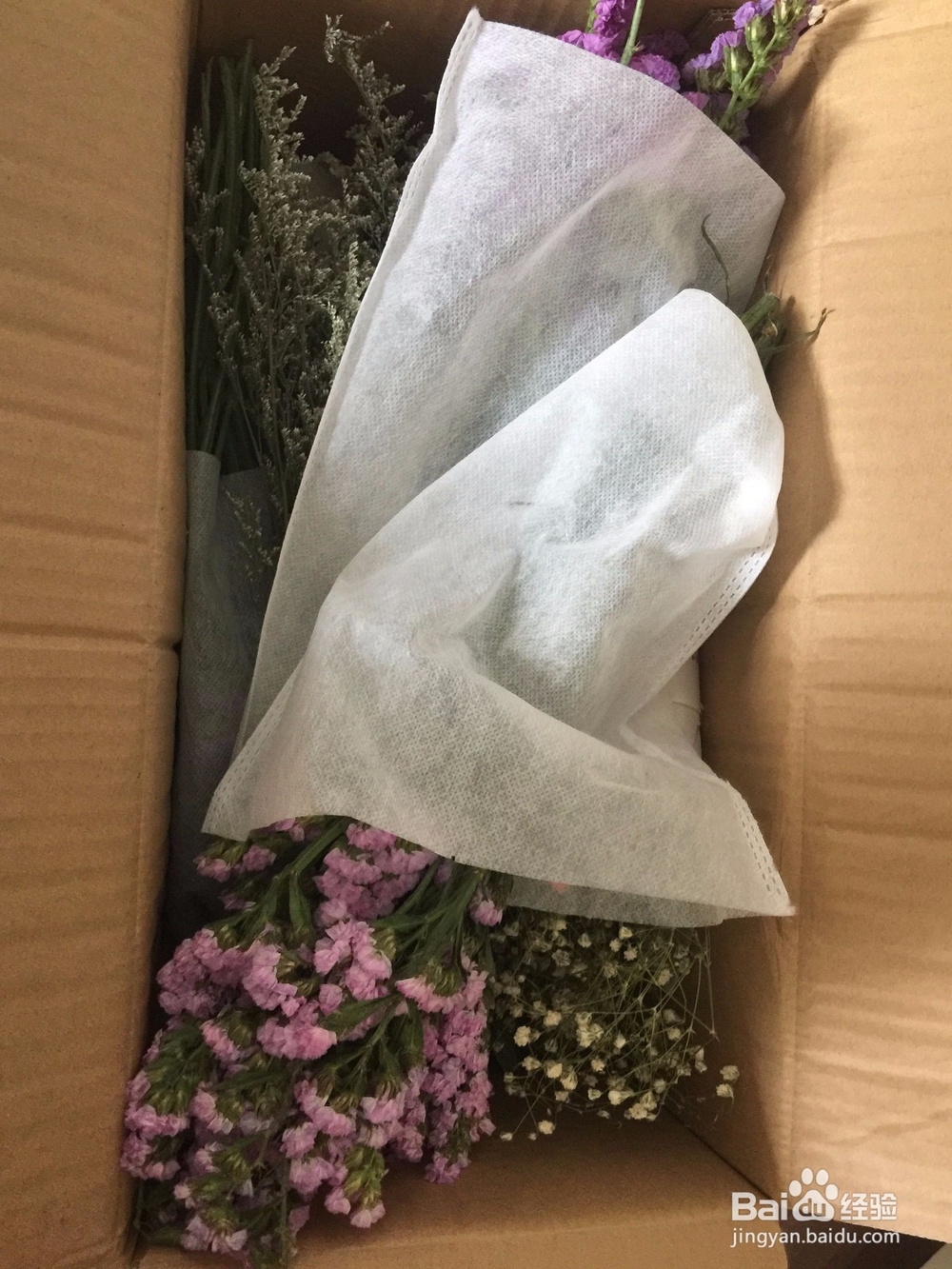 勿忘我干花花束速变瓶插花