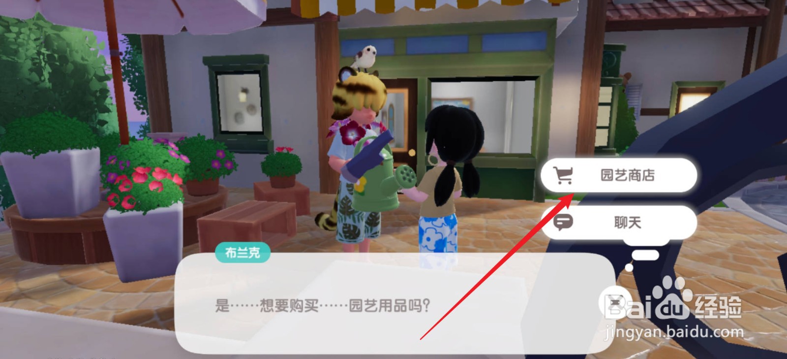 心动小镇怎么购买2个红色雏菊种子