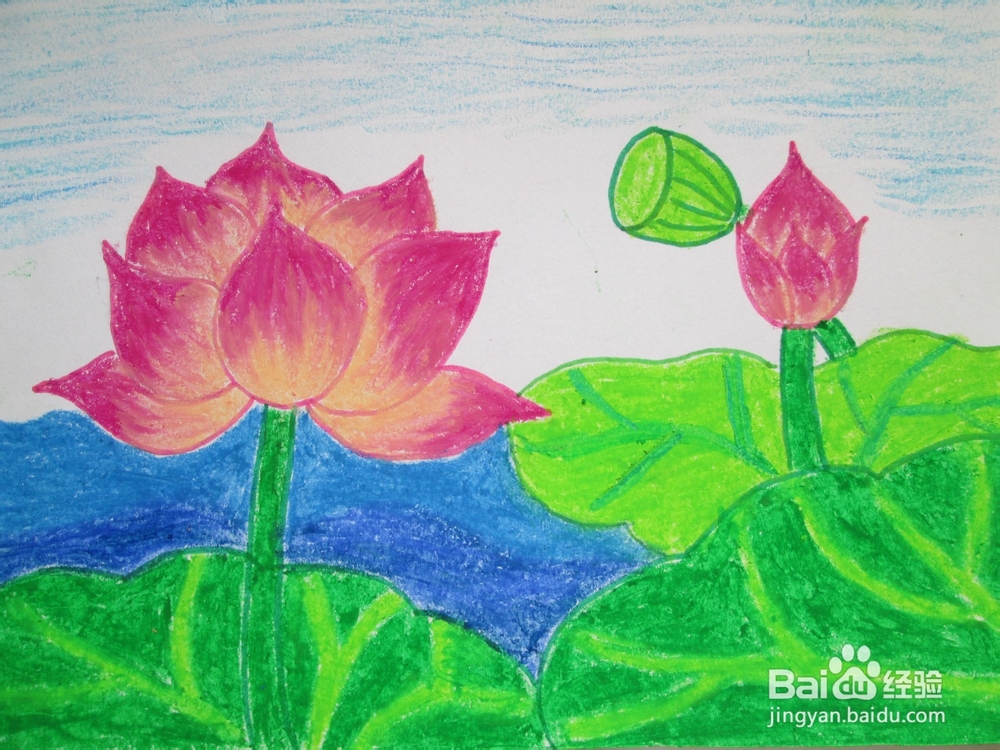 我们来学油画棒：[6]荷花