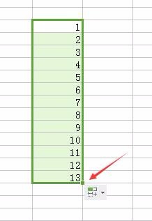 如何运用Excel表格的基本功能