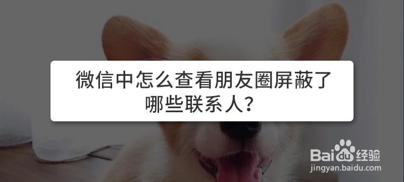 微信中怎么查看朋友圈屏蔽了哪些联系人