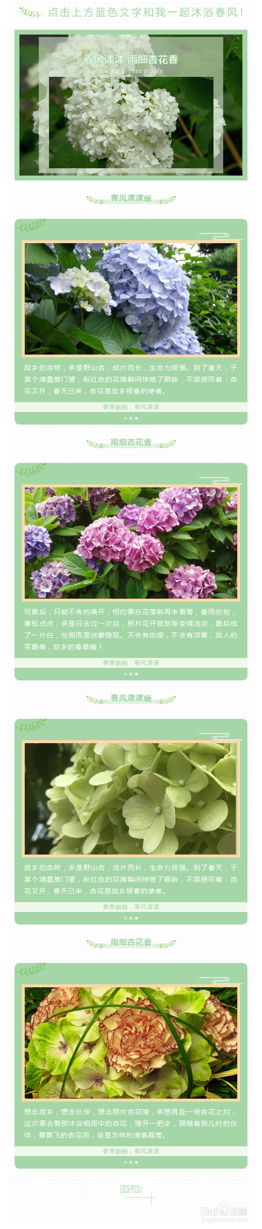 春季赏花相关的微信公众号图文应该怎样排版?