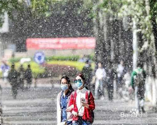 春天如何防止柳絮引起的过敏？