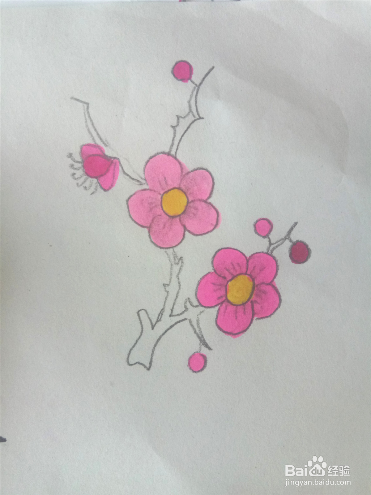 梅花的简笔画怎么画？