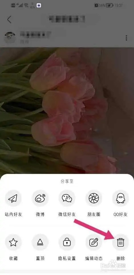 绿洲app如何删除发布动态?