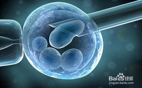 染色体易位如何要孩子