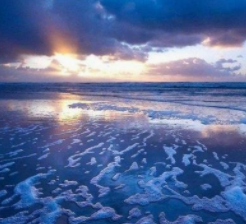 自媒体如何运营