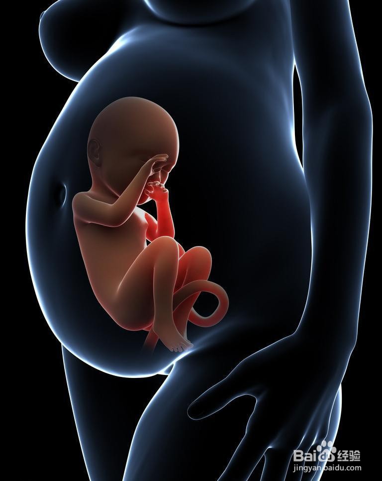 如何把怀孕的消息告诉给身边的人?