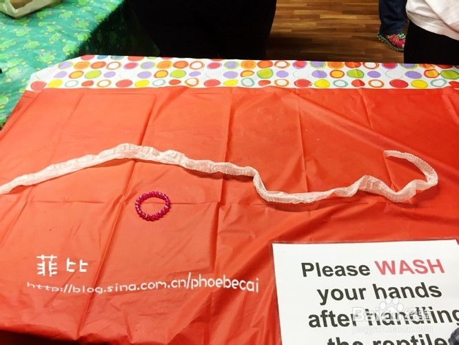 温哥华自然公园珍奇爬行动物展