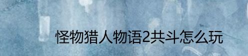 怪物猎人物语2共斗怎么玩