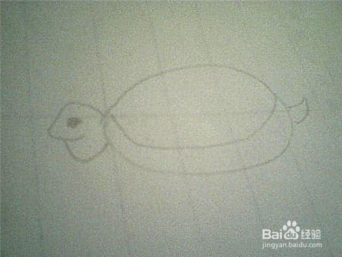 简笔画乌龟怎样画: