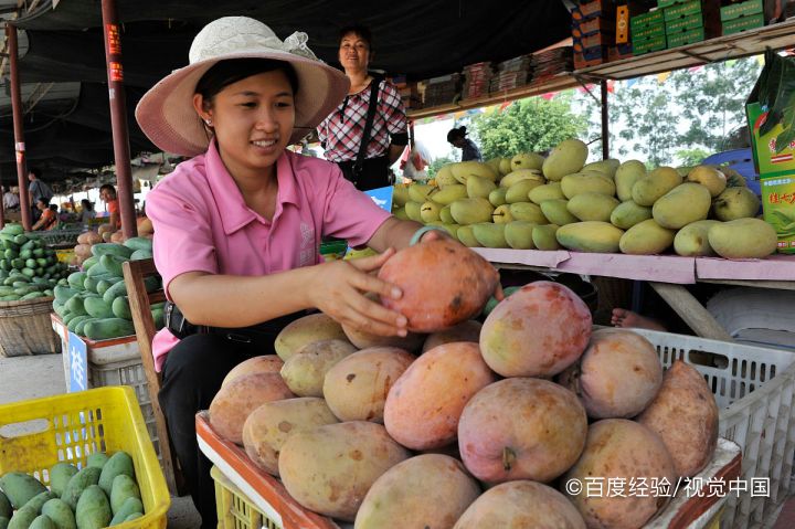 买回的青芒果应该怎么进行催熟