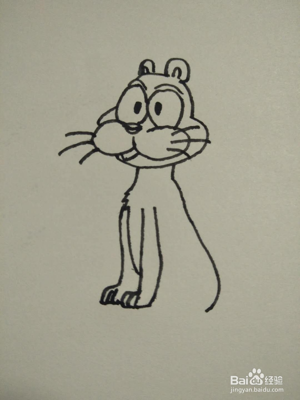 猫的简笔画法2