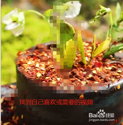 抖音淘客怎样获取视频