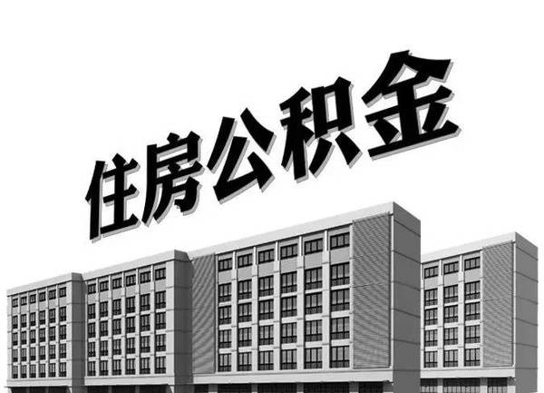 公司给我们办理了住房公积金
，可是我不知道账号和密码，我要在哪里查询呢