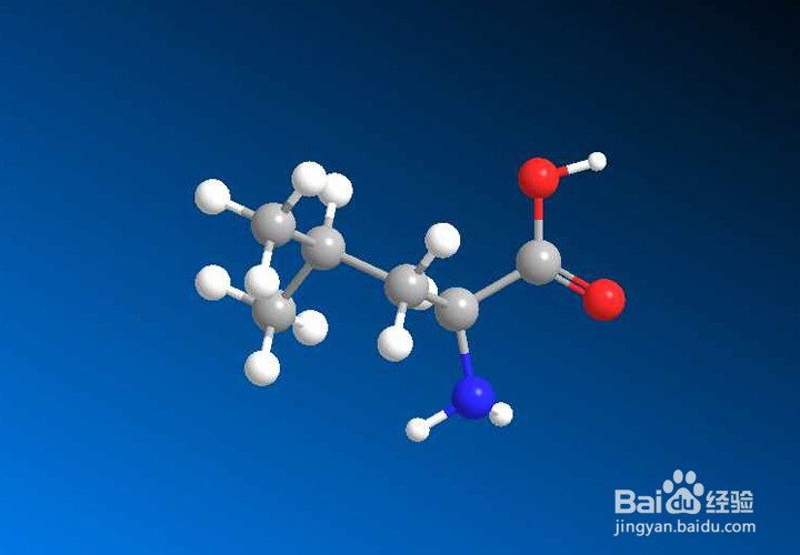 素食者如何避免营养素缺乏