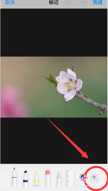 苹果手机怎么给照片添加箭头符号
