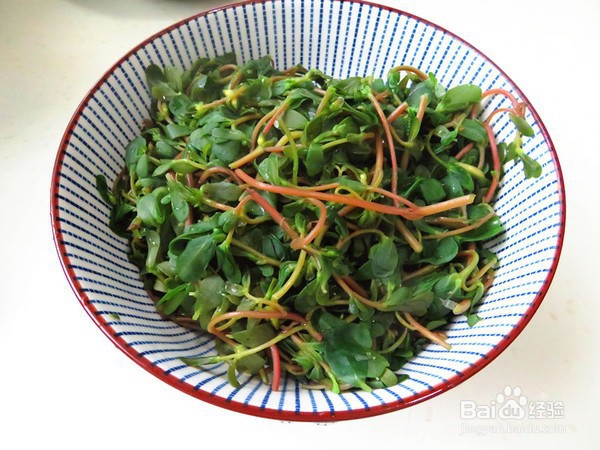 如何做出好吃的凉拌马齿苋