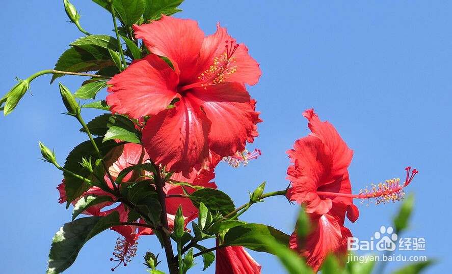 如何提高办公室三服务能力